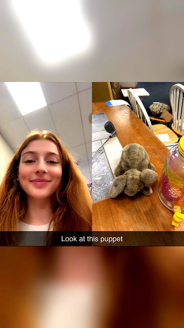 carmmieecat image ~ Altpins