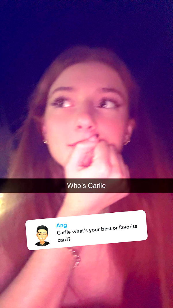 carmmieecat image ~ Altpins