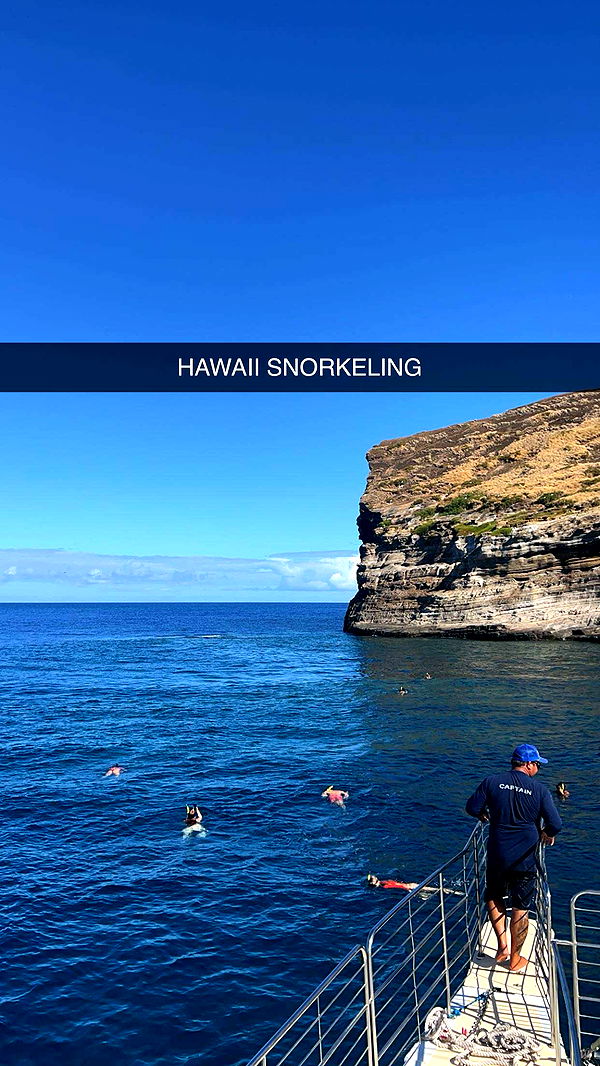 carmmieecat image ~ Altpins