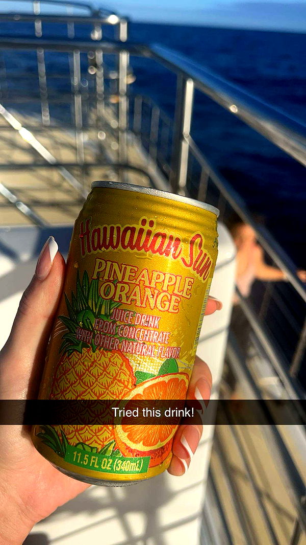 carmmieecat image ~ Altpins