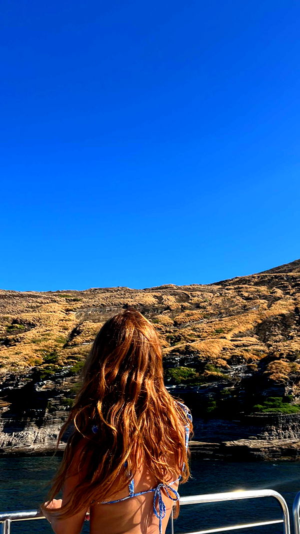 carmmieecat image ~ Altpins