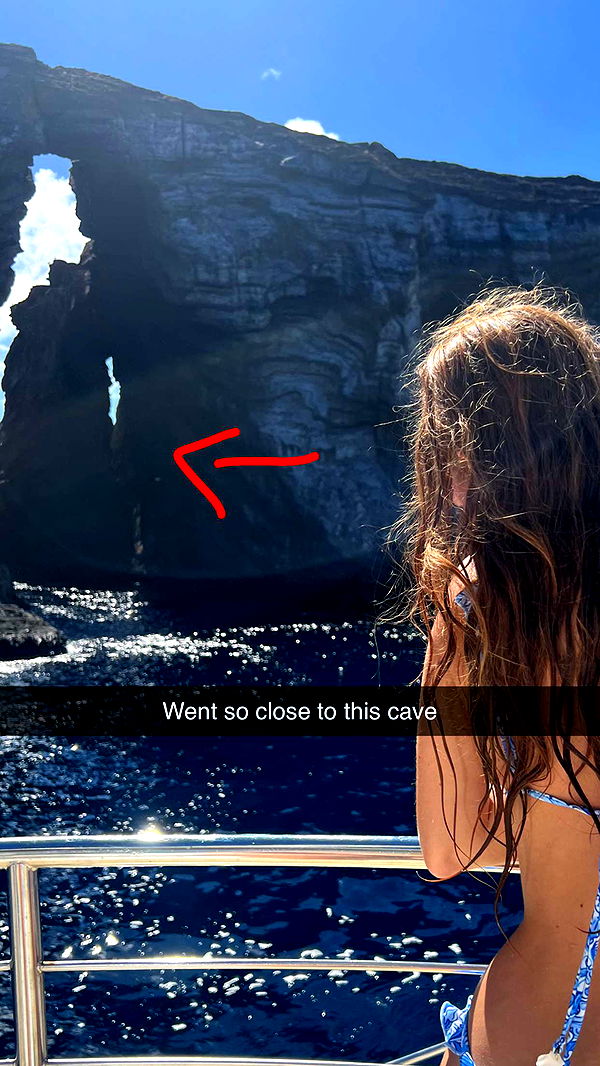 carmmieecat image ~ Altpins