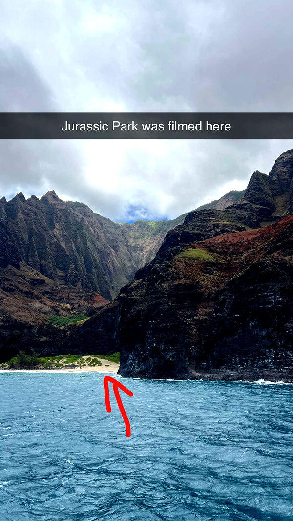 carmmieecat image ~ Altpins