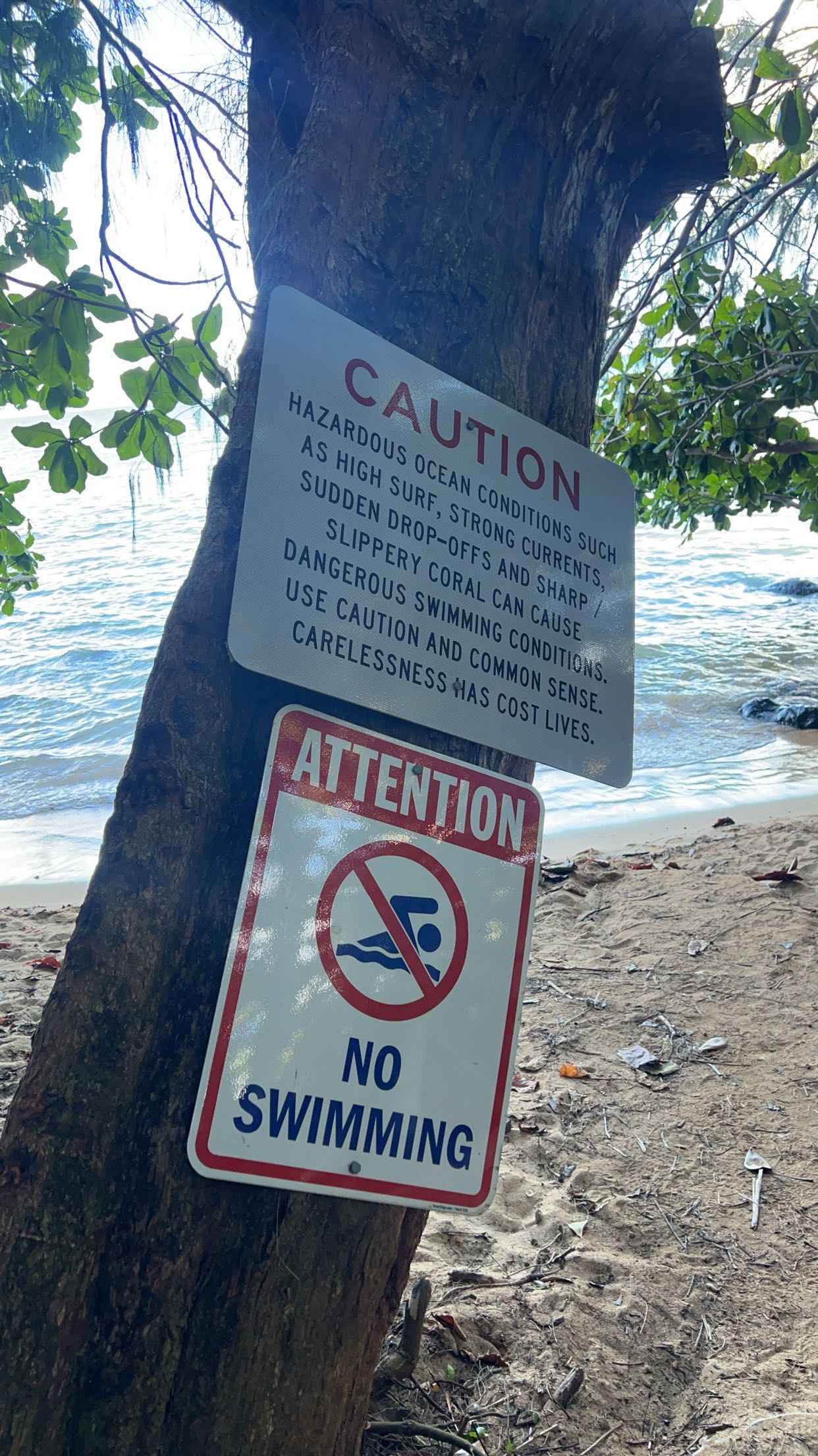 carmmieecat snapchat image archive image