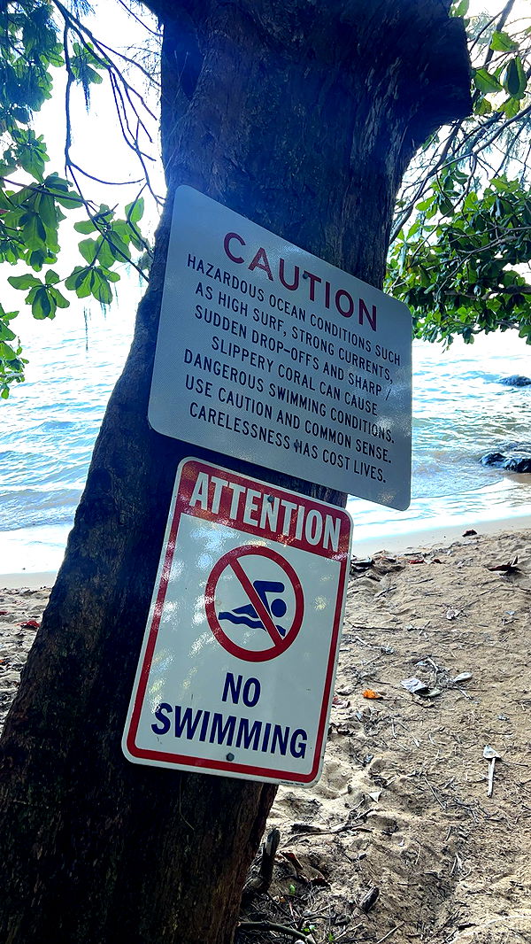 carmmieecat image ~ Altpins