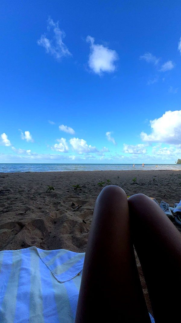 carmmieecat image ~ Altpins