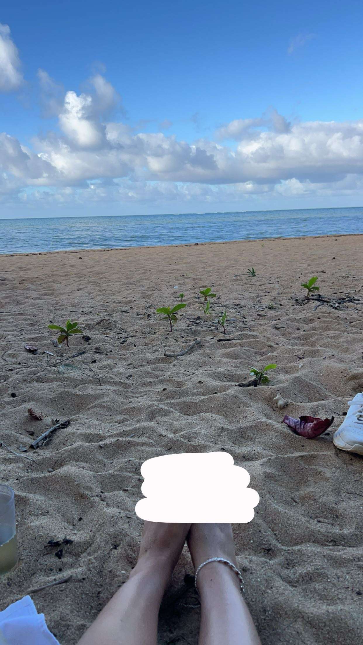 carmmieecat snapchat image archive image