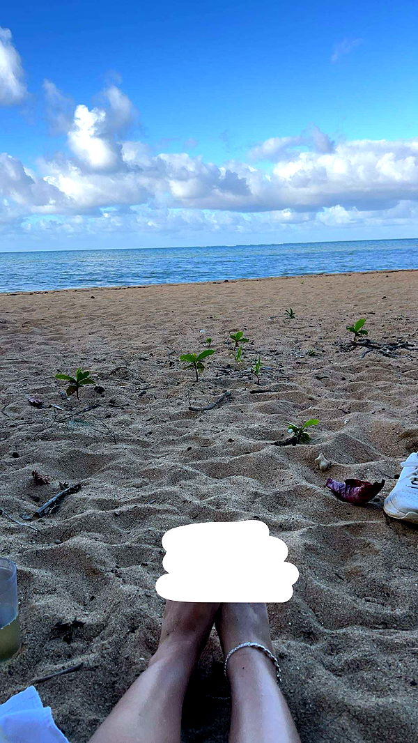 carmmieecat image ~ Altpins