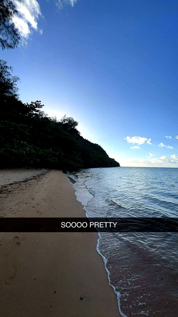 carmmieecat image ~ Altpins