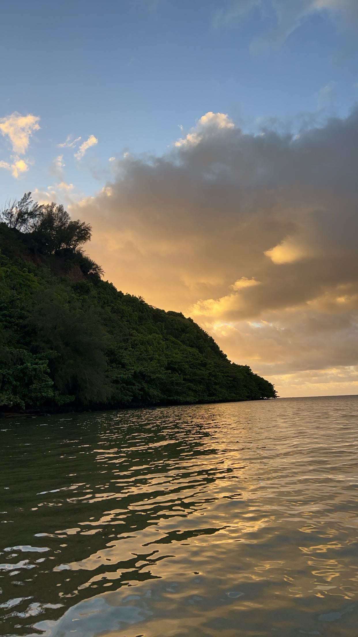 carmmieecat snapchat image archive image