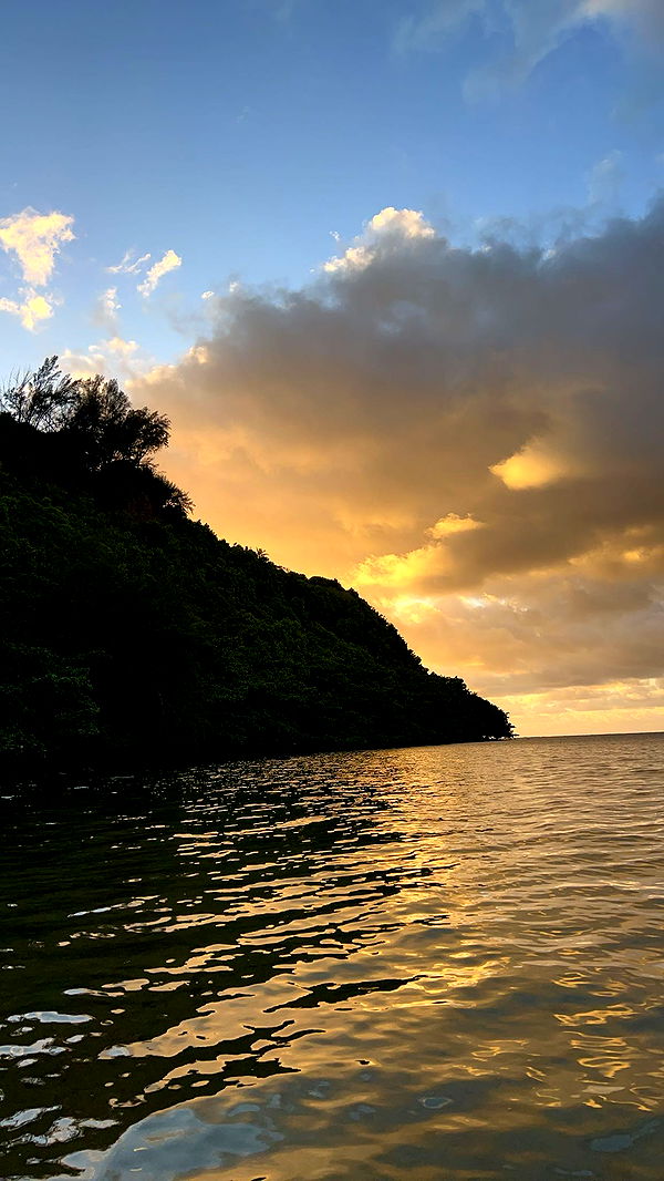 carmmieecat image ~ Altpins