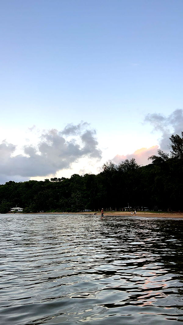 carmmieecat image ~ Altpins