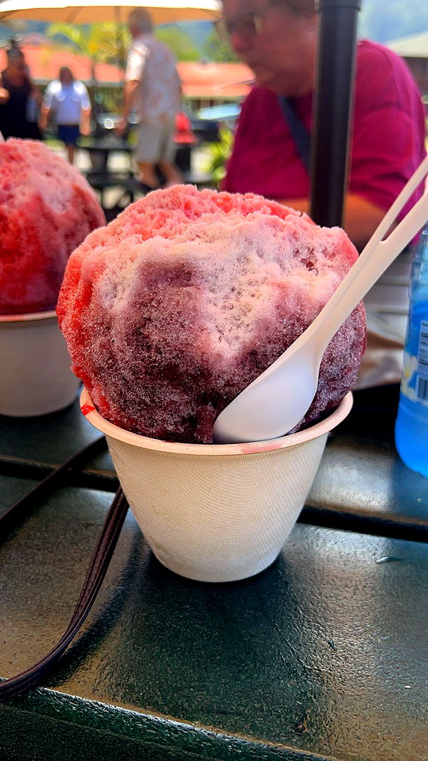 carmmieecat image ~ Altpins