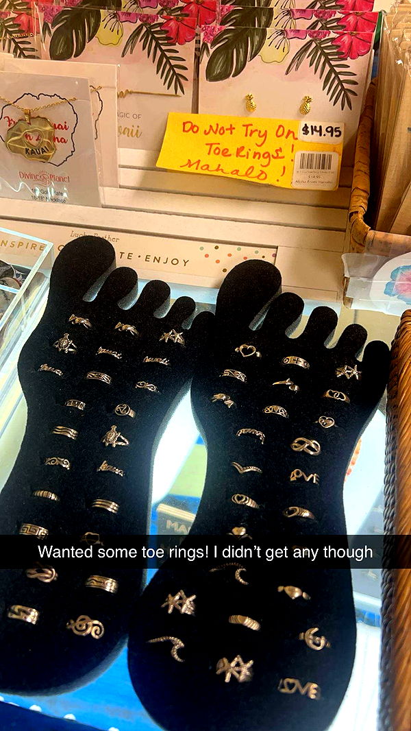 carmmieecat image ~ Altpins