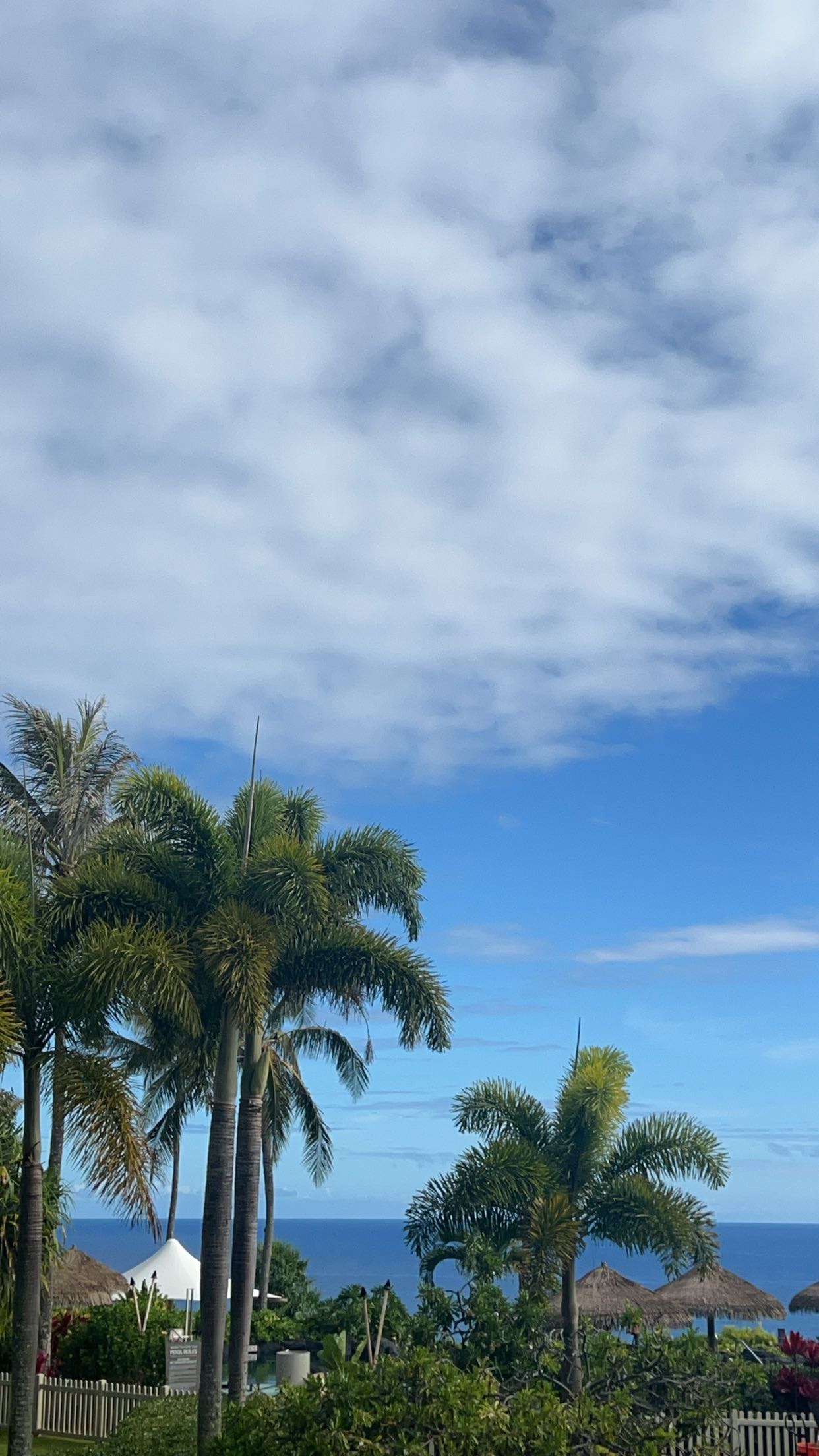 carmmieecat snapchat image archive image