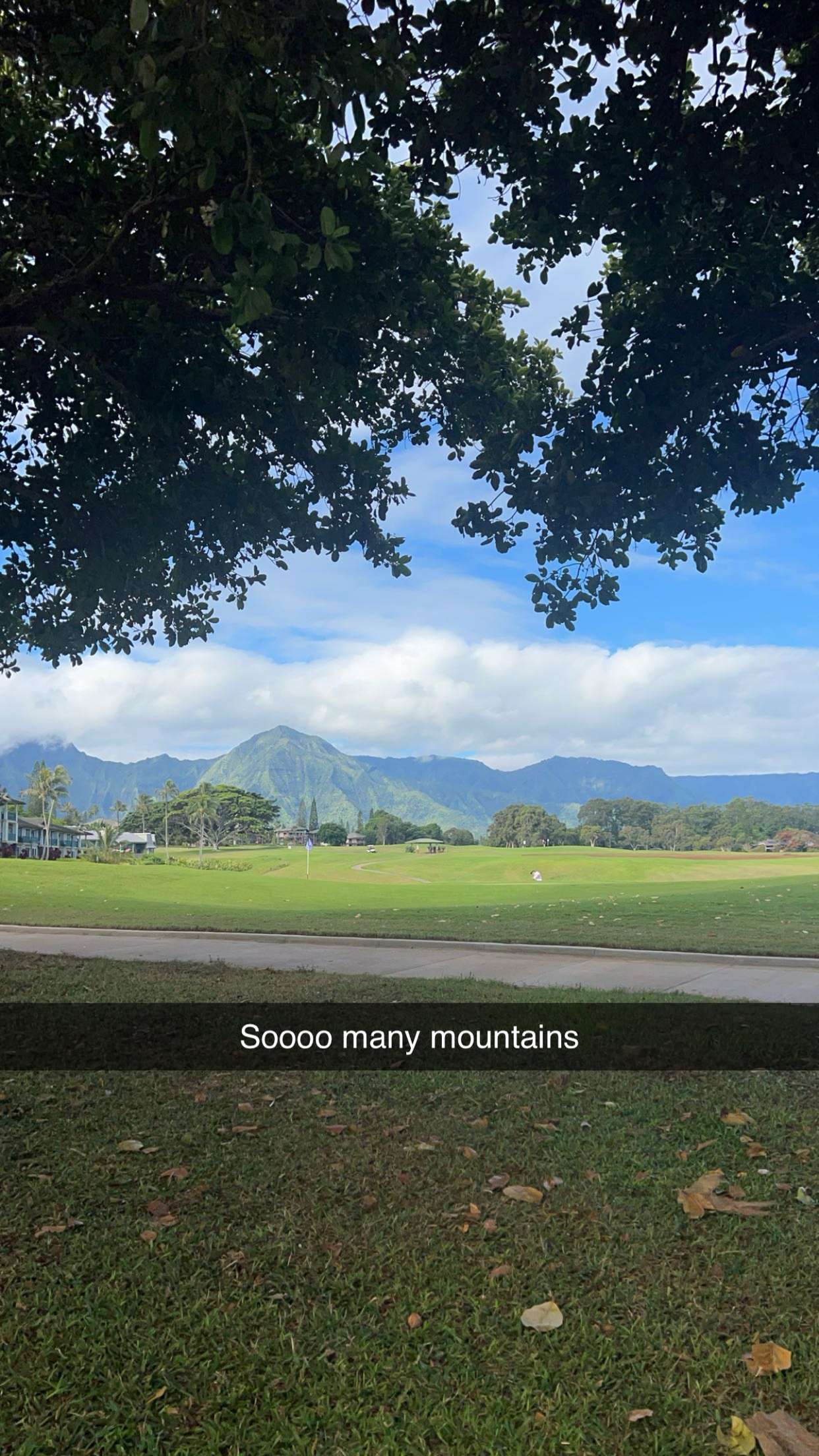 carmmieecat snapchat image archive image