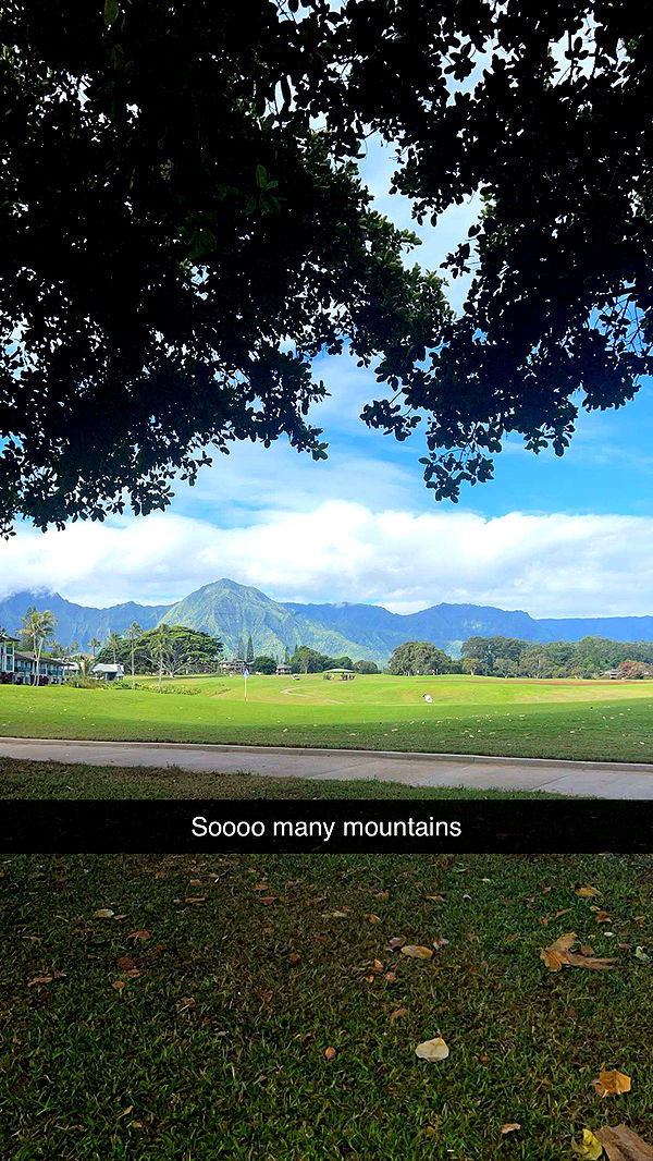 carmmieecat image ~ Altpins