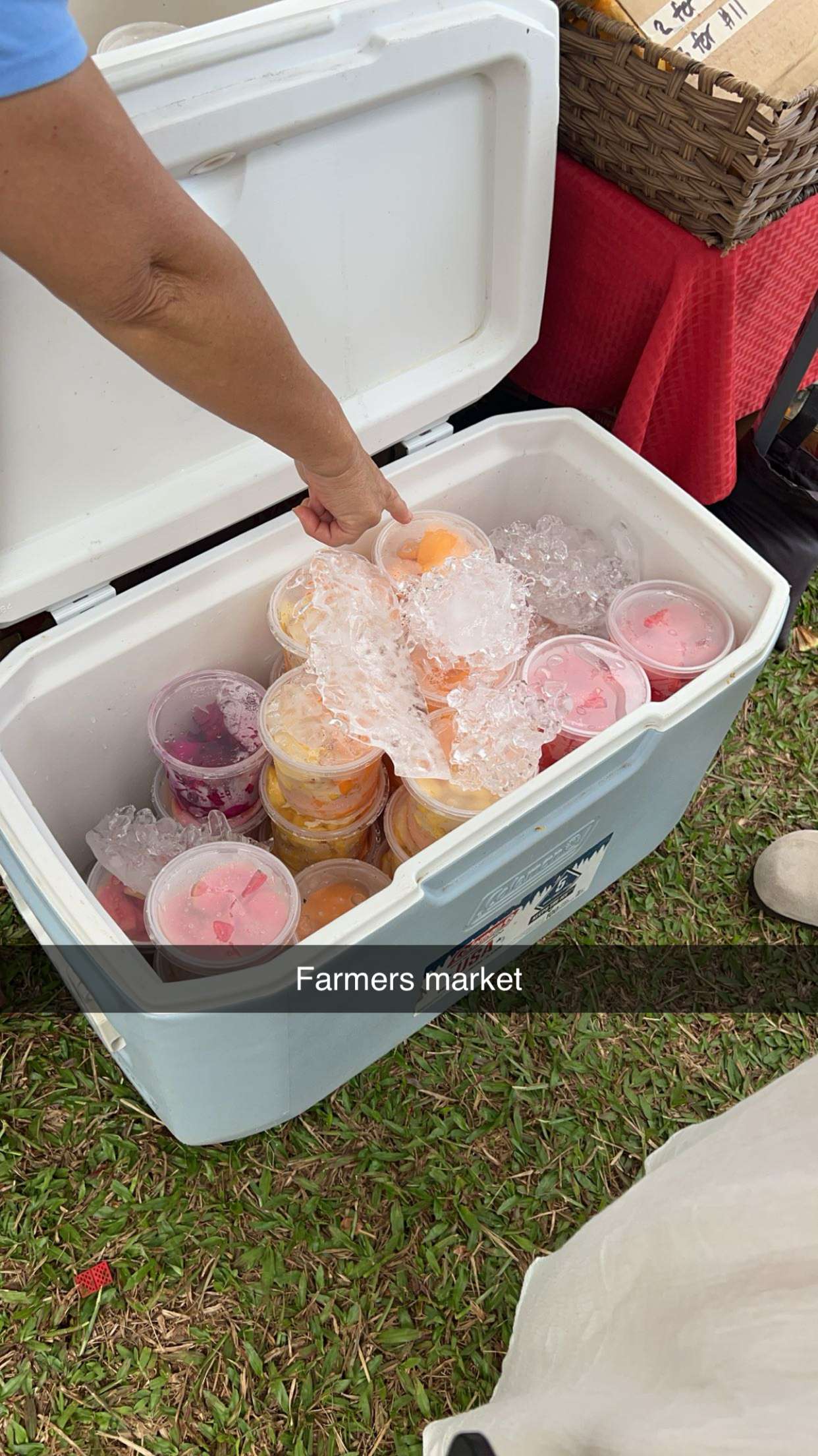 carmmieecat snapchat image archive image