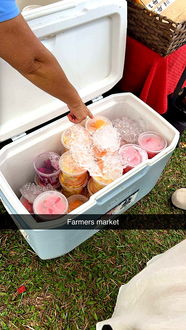 carmmieecat image ~ Altpins