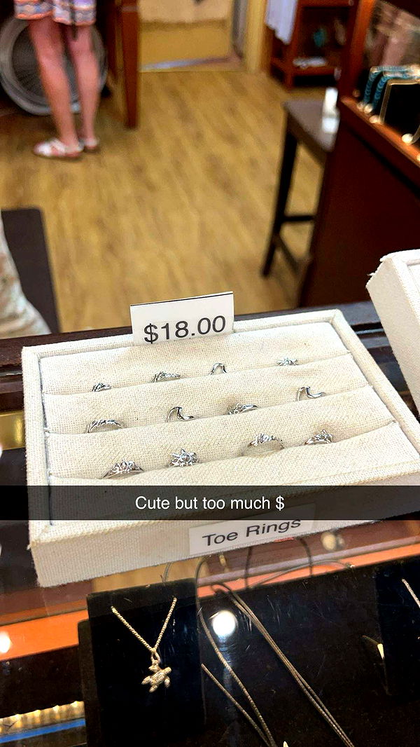 carmmieecat image ~ Altpins