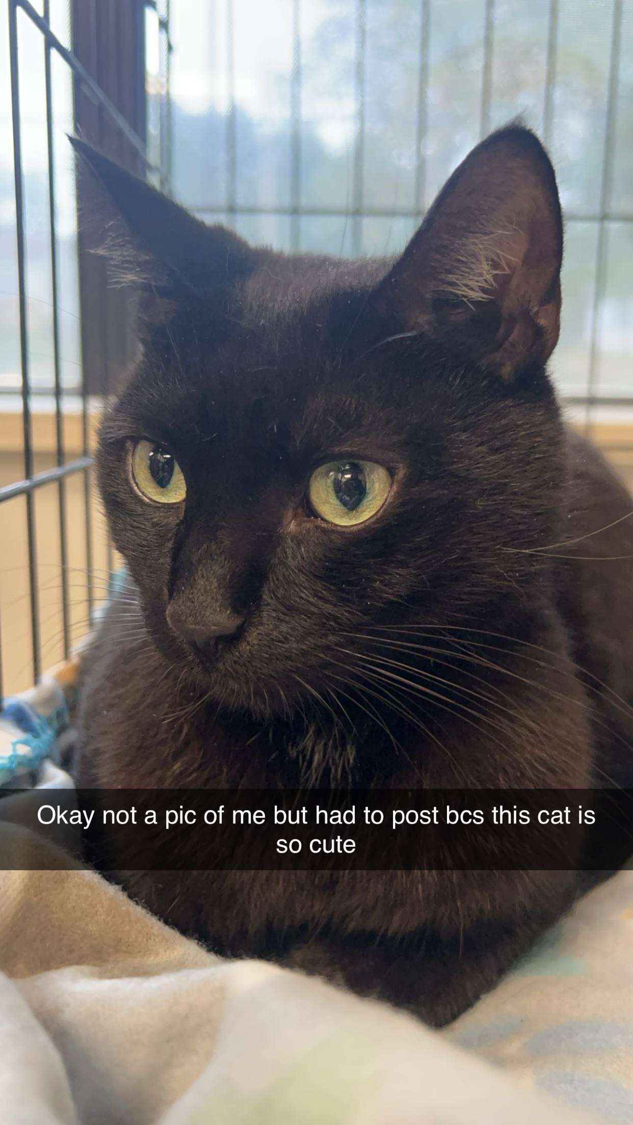 carmmieecat snapchat image archive image