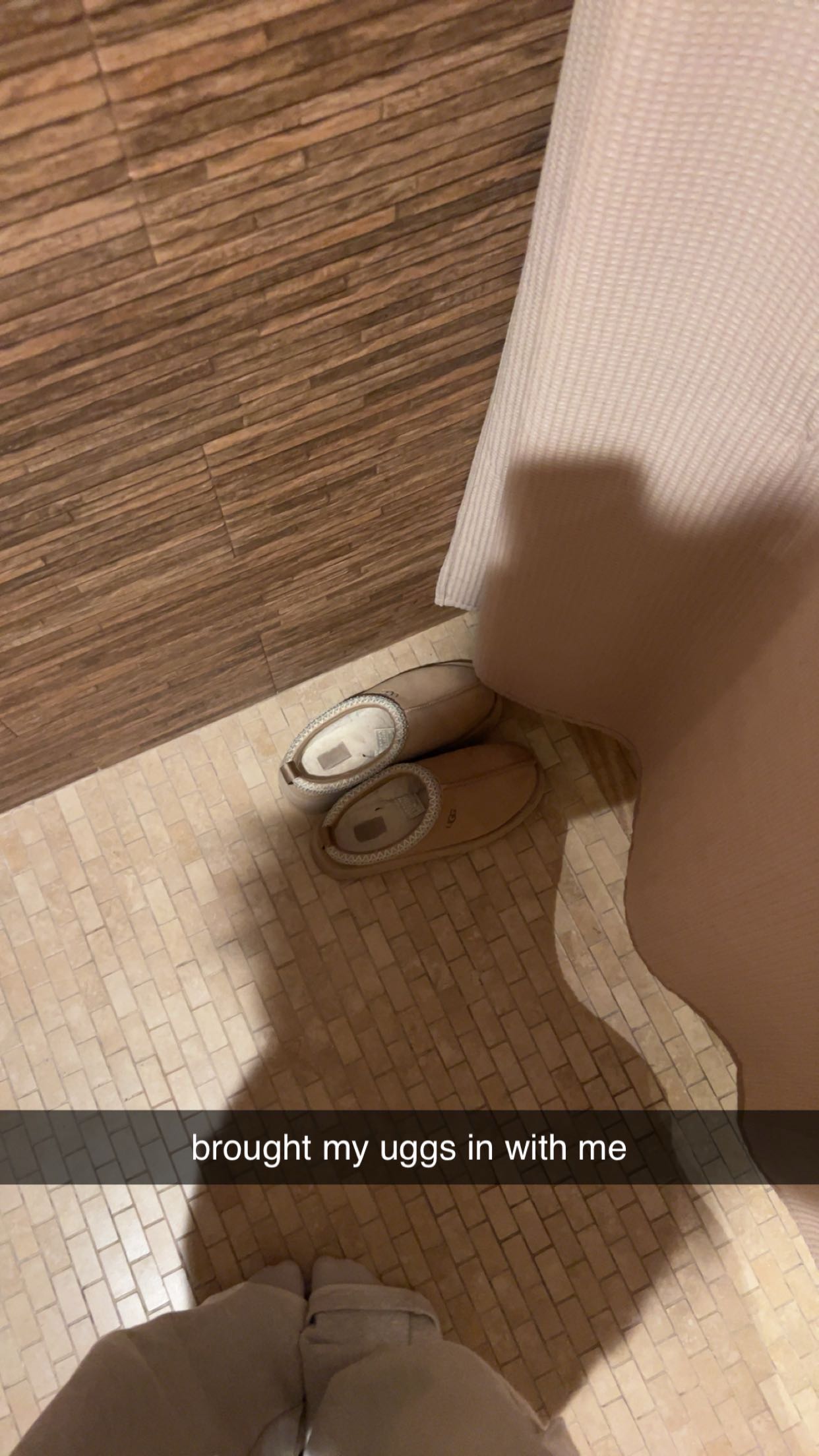 carmmieecat snapchat image archive image