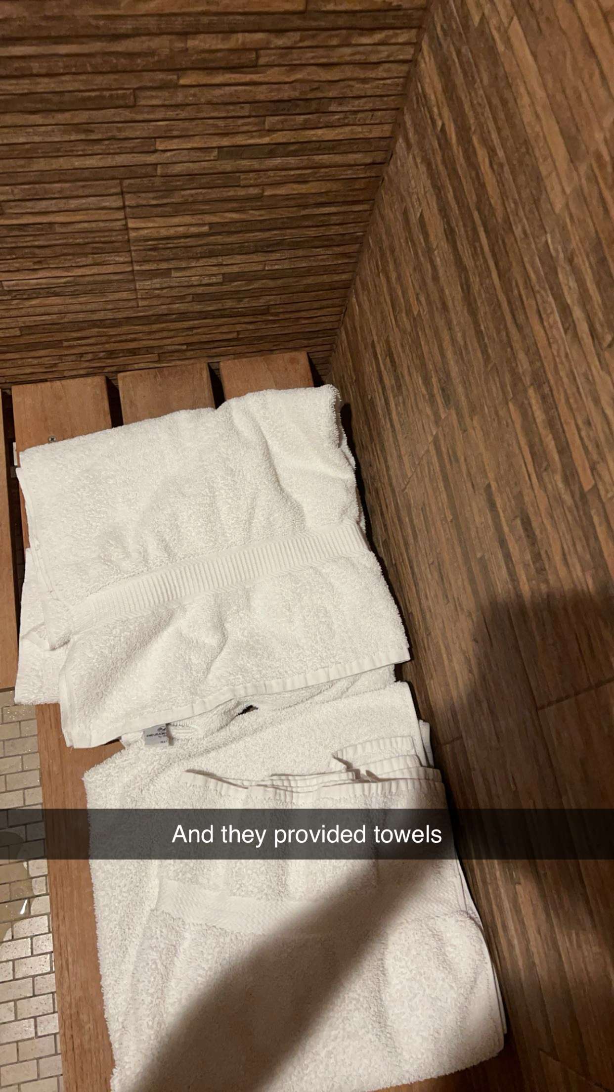 carmmieecat snapchat image archive image