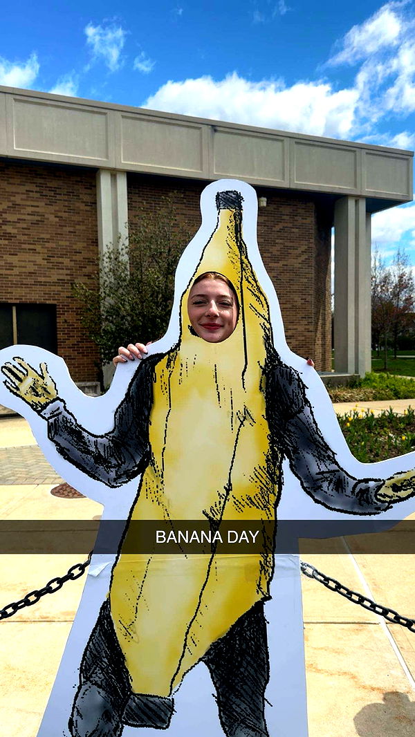 carmmieecat image ~ Altpins