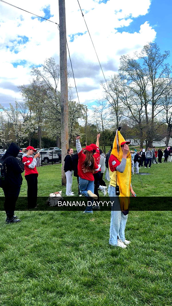 carmmieecat image ~ Altpins