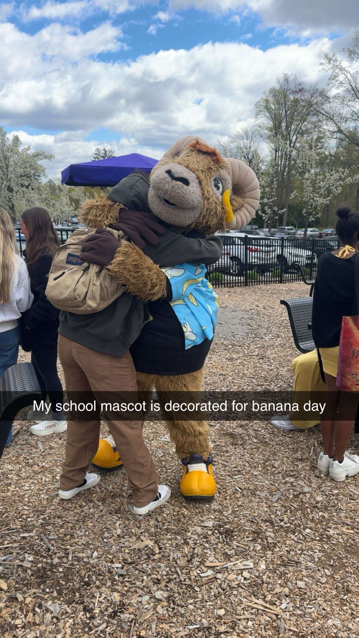 carmmieecat snapchat image archive image