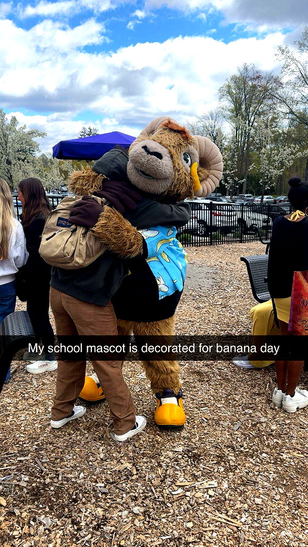 carmmieecat image ~ Altpins