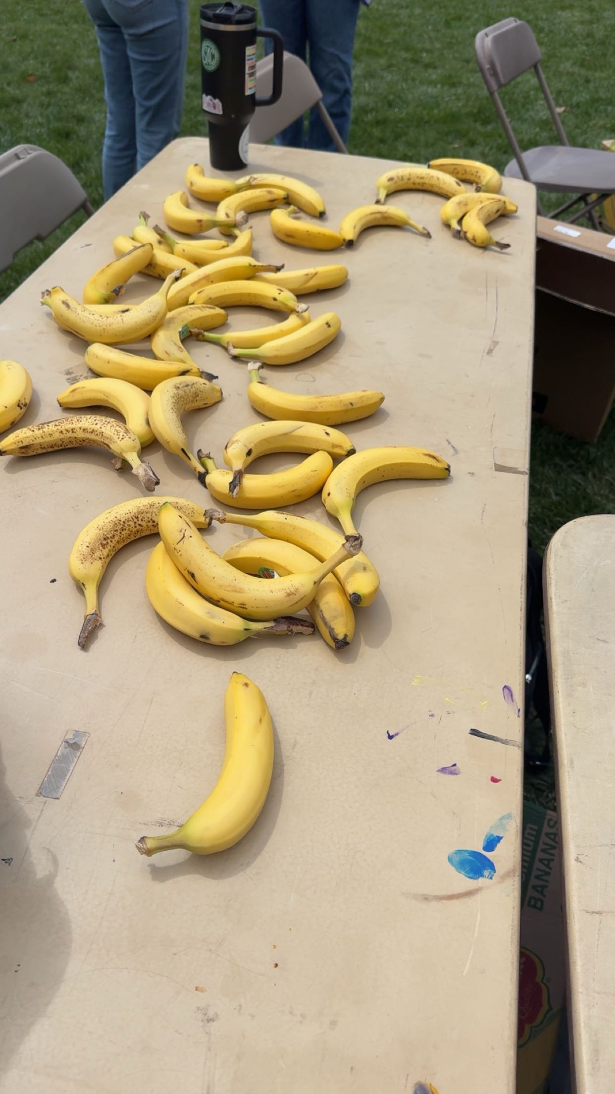 carmmieecat snapchat image archive image