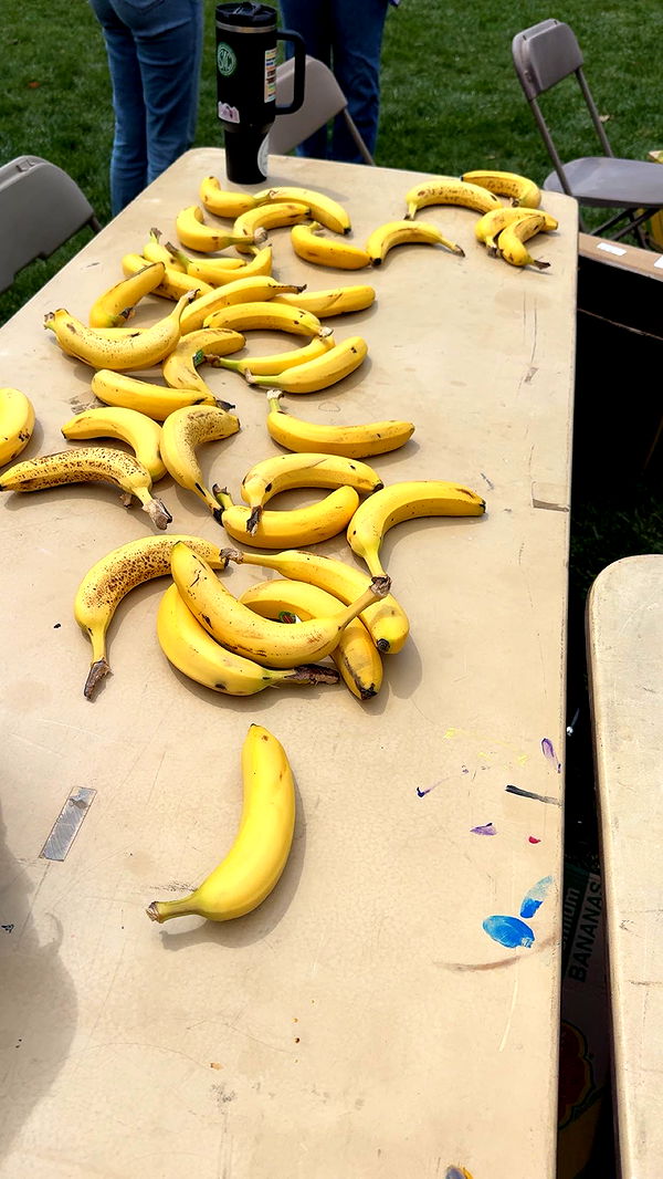 carmmieecat image ~ Altpins