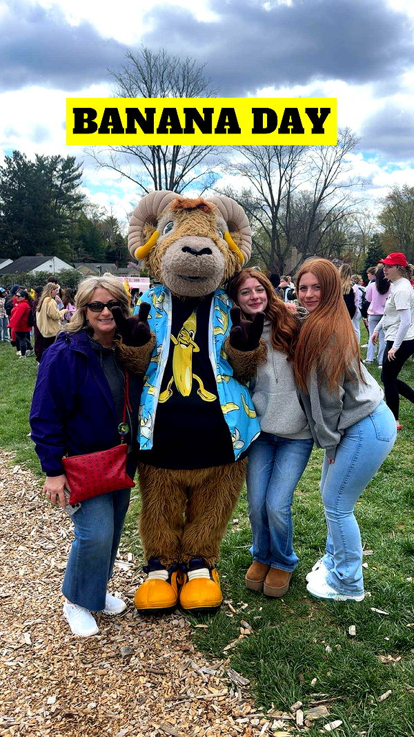 carmmieecat image ~ Altpins