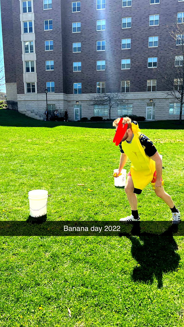 carmmieecat image ~ Altpins