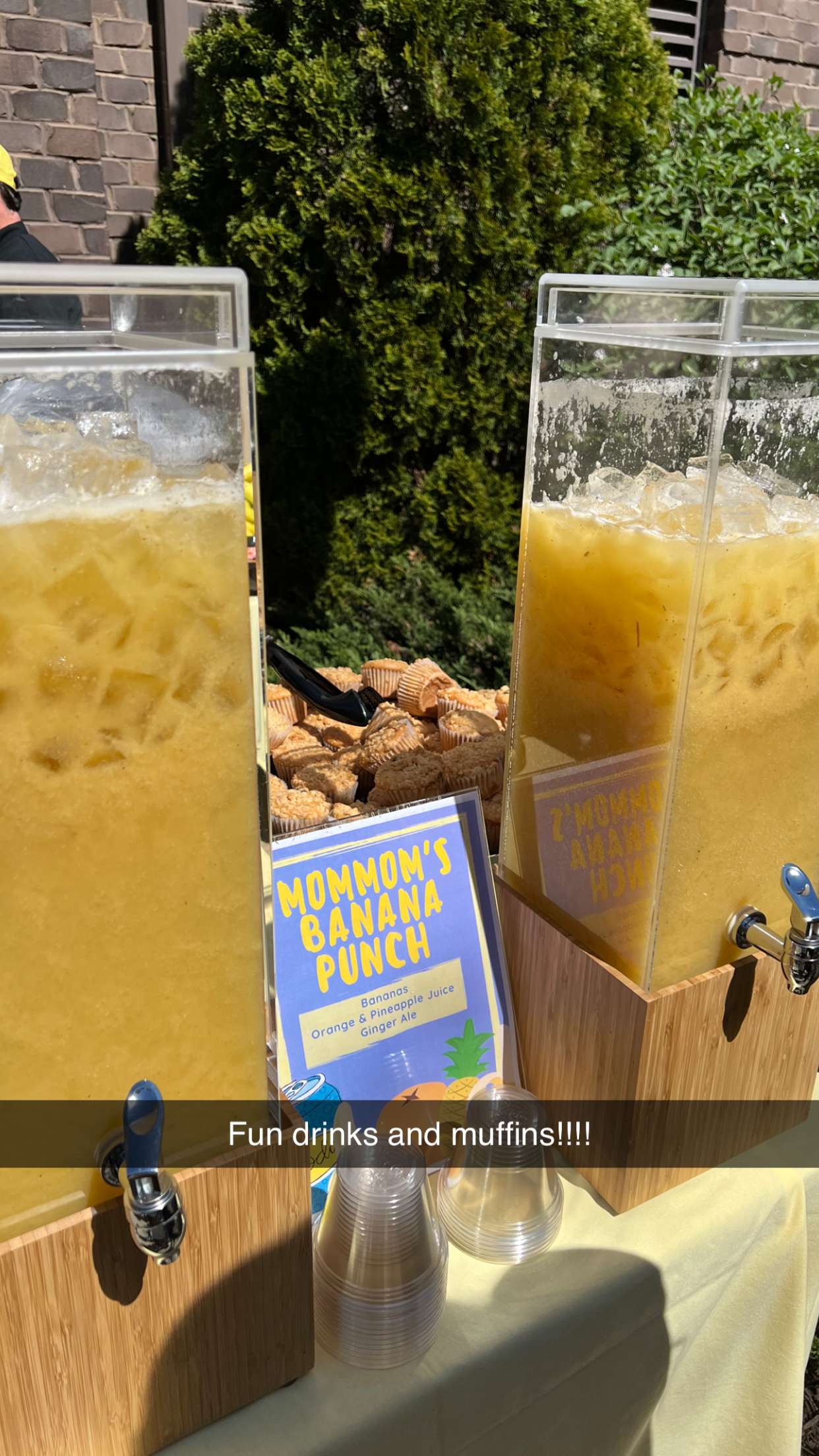 carmmieecat snapchat image archive image