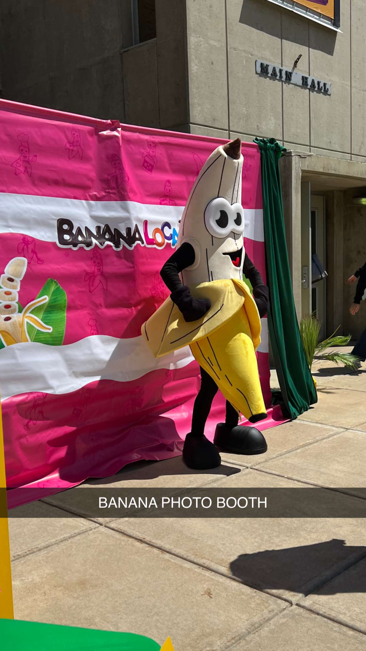 carmmieecat snapchat image archive image