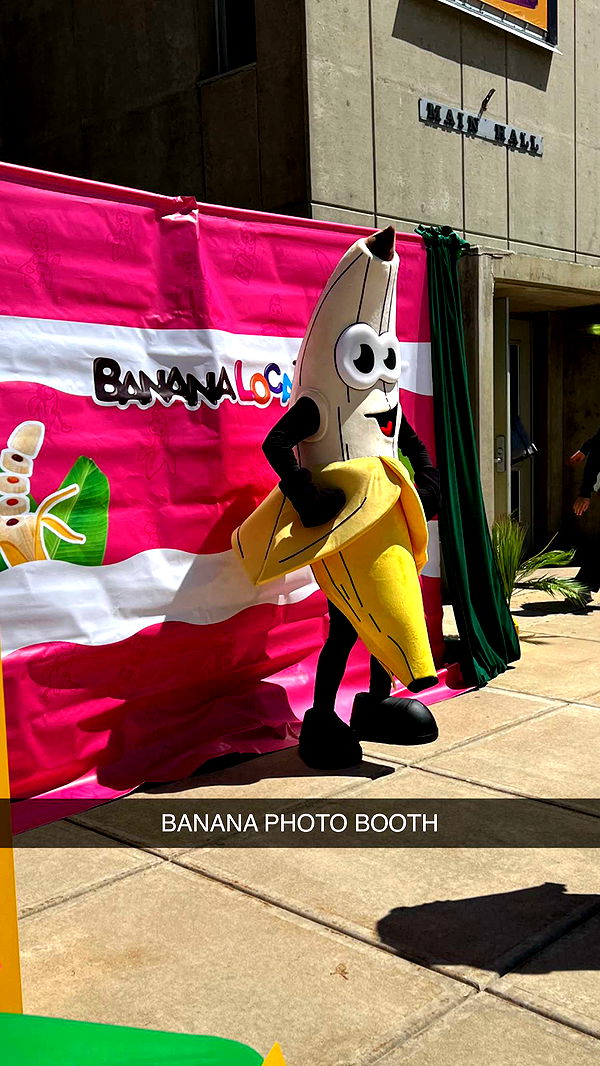 carmmieecat image ~ Altpins