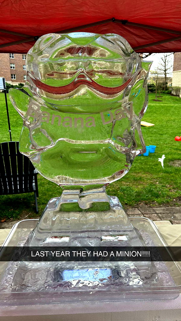 carmmieecat image ~ Altpins