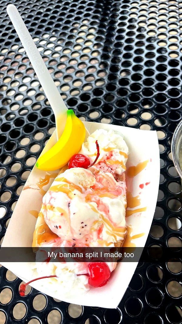 carmmieecat image ~ Altpins