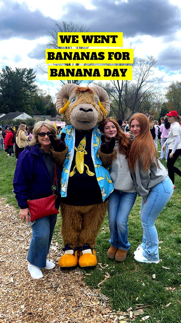 carmmieecat image ~ Altpins