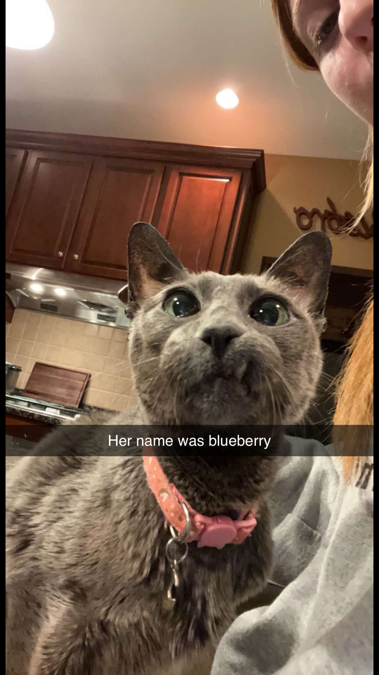 carmmieecat snapchat image archive image