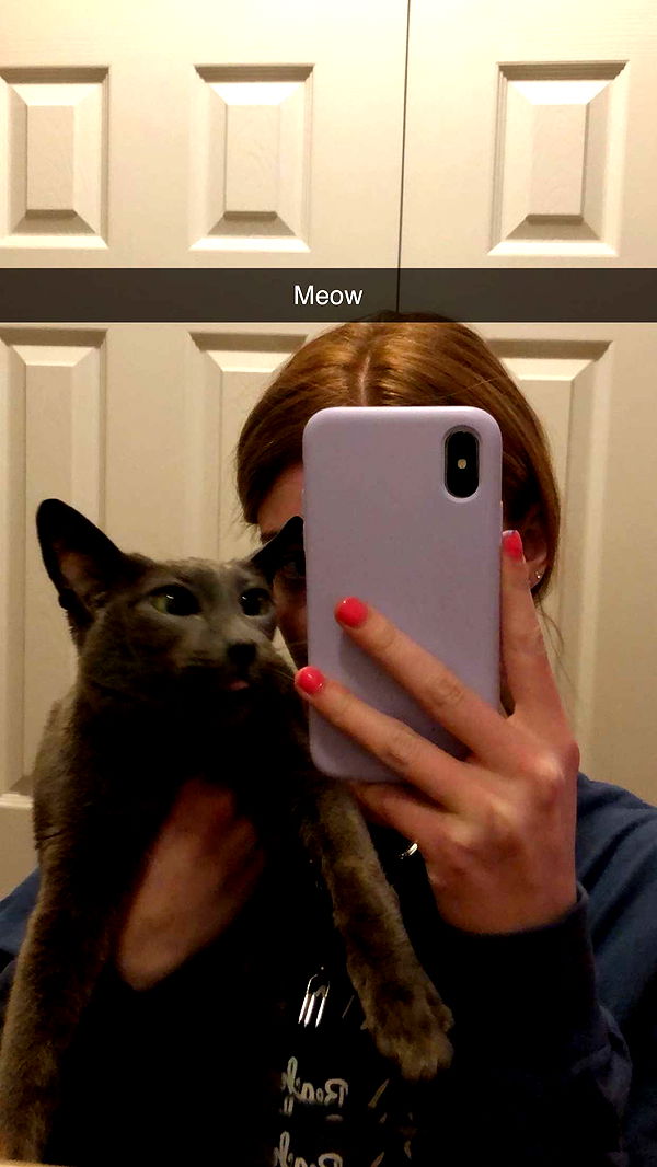 carmmieecat image ~ Altpins