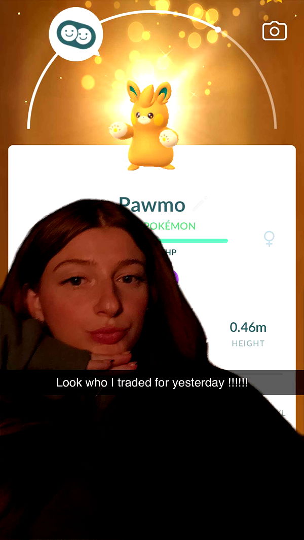 carmmieecat image ~ Altpins