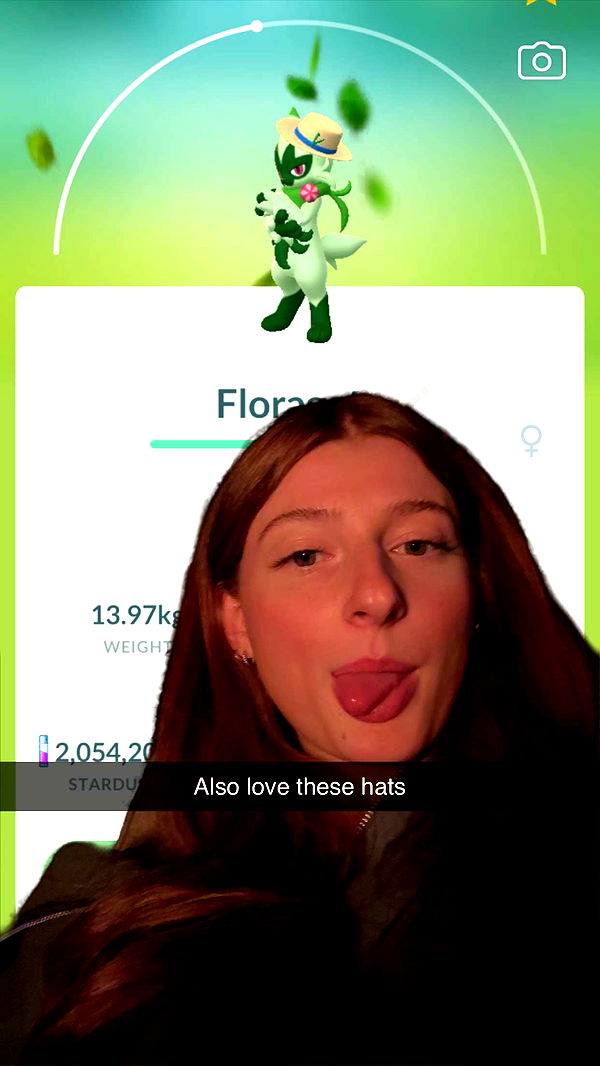 carmmieecat image ~ Altpins