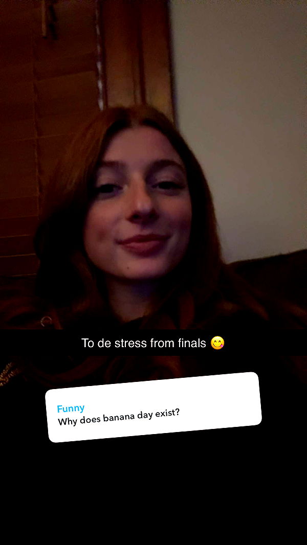 carmmieecat image ~ Altpins