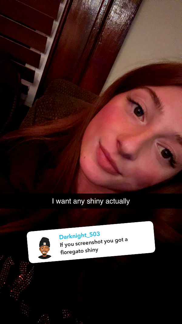 carmmieecat image ~ Altpins