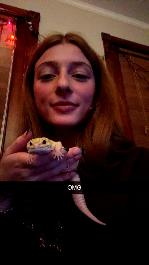 carmmieecat image ~ Altpins