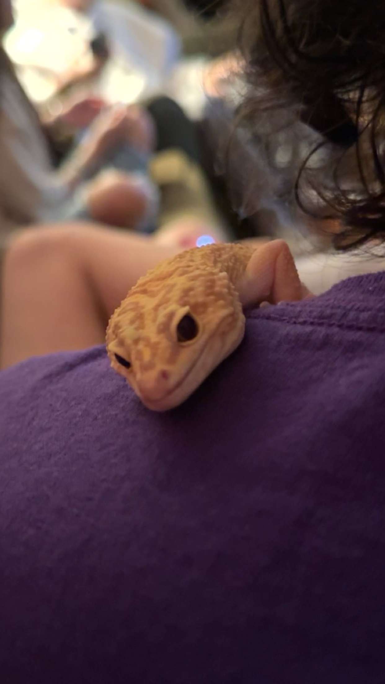 carmmieecat snapchat image archive image