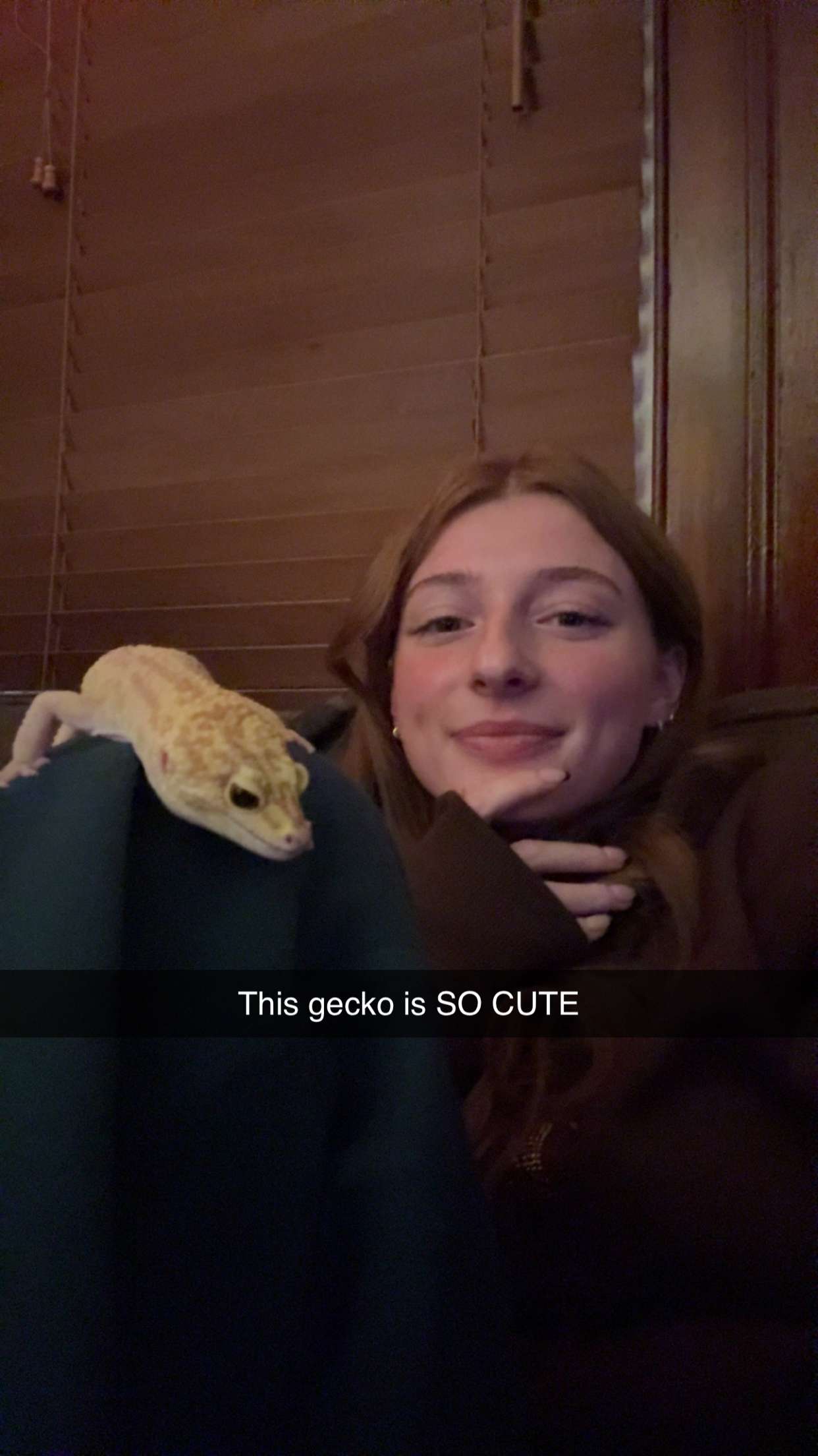 carmmieecat snapchat image archive image